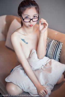 小白杨歌词